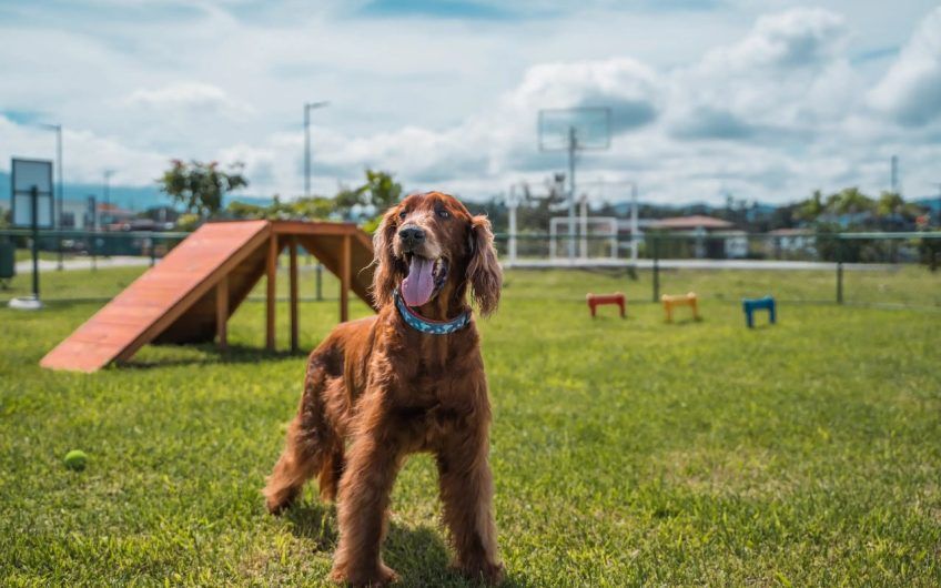 Lote plano de 325 m2 en Hacienda Los Reyes La Guácima Alajuela