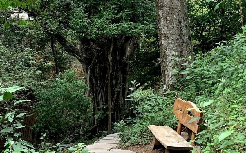 Apartamento con vista en San Nicolás de Barí Río Oro Santa Ana