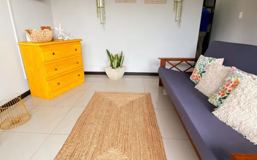 Apartamento con vista en San Nicolás de Barí Río Oro Santa Ana