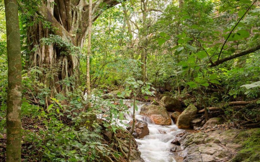 Apartamento con vista en San Nicolás de Barí Río Oro Santa Ana