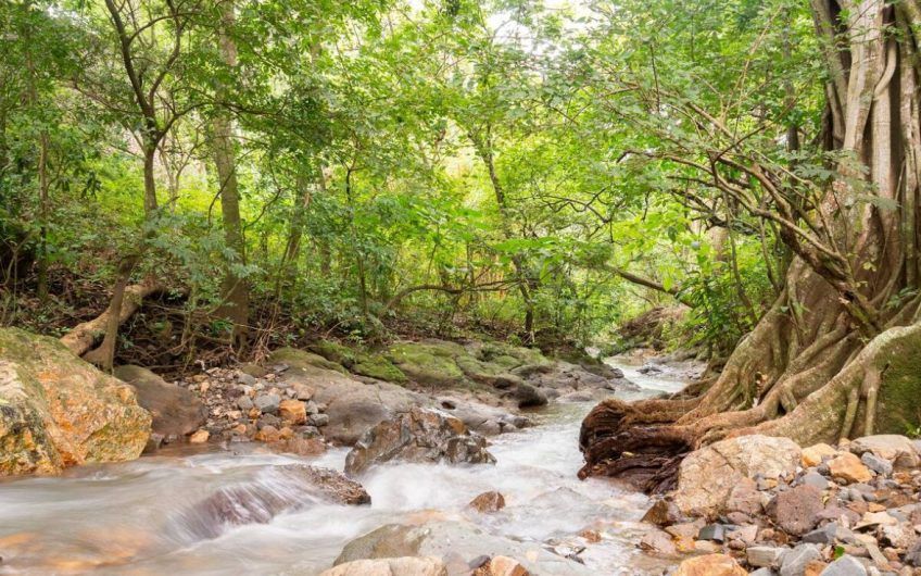 Apartamento con vista en San Nicolás de Barí Río Oro Santa Ana