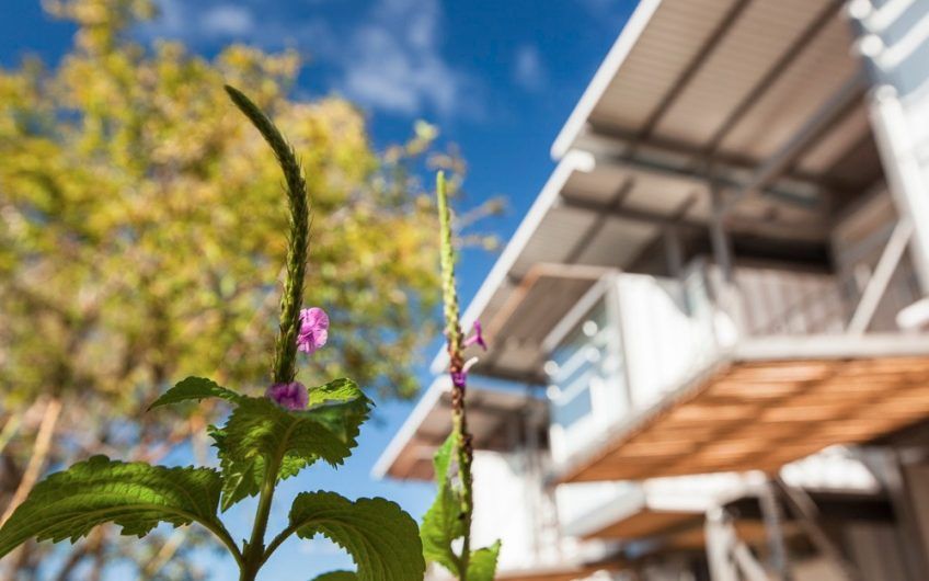 Condominio Minimalista en Alquiler en Lindora Santa Ana / Vista a la Montaña / Línea Blanca