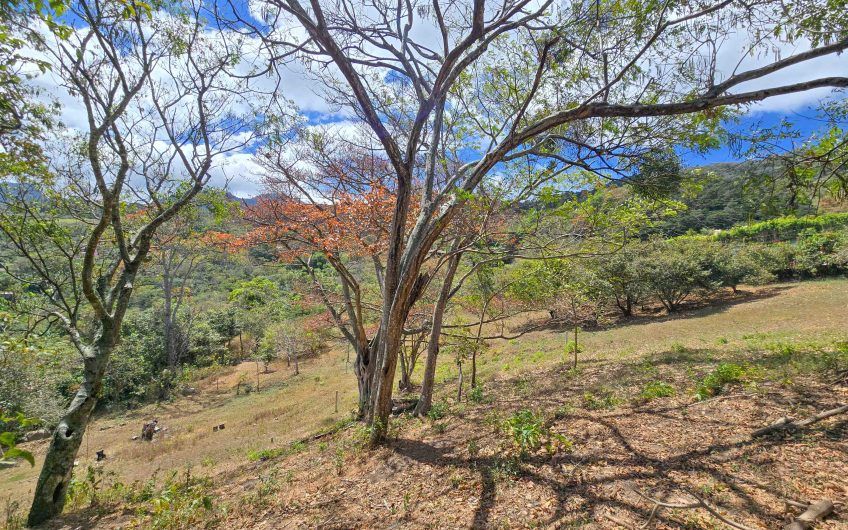 Lote de 1.489 m2 con vista panorámica en San Antonio de Escazú (Carrizal)
