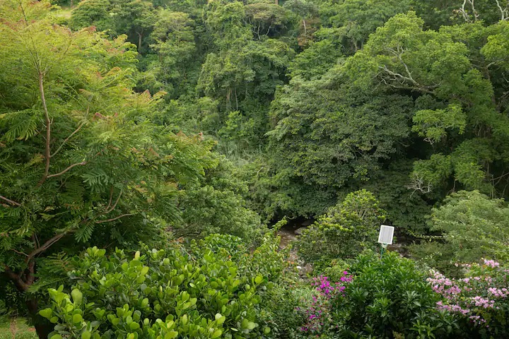 Paradisus Rohrmoser Pavas! Apartamento amueblado con vista