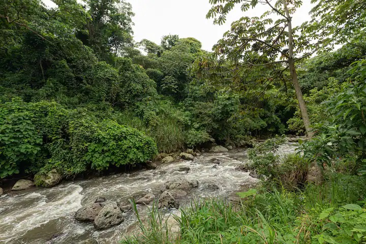 Paradisus Rohrmoser Pavas! Apartamento amueblado con vista