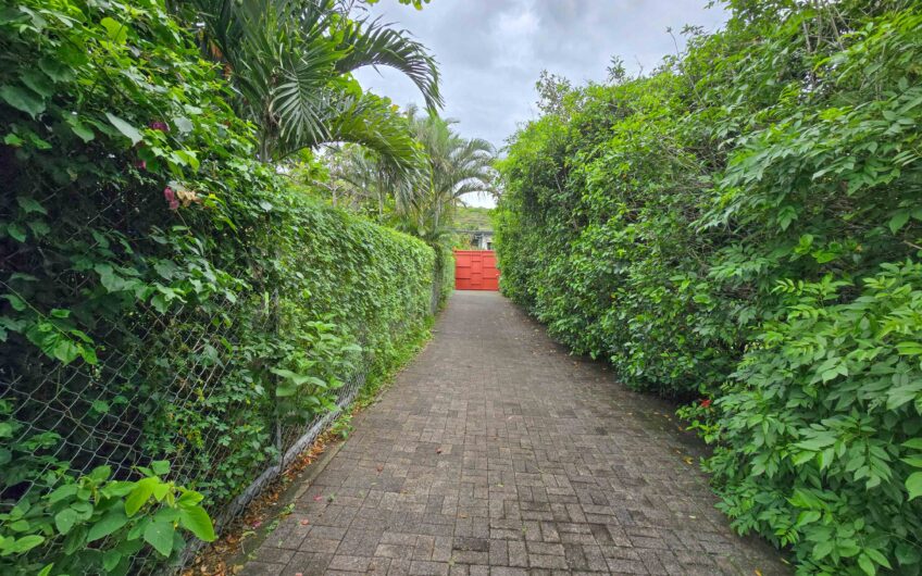 Propiedad de 3 casas de una sola planta con 2.742 m2 de lote en Santa Ana Piedades