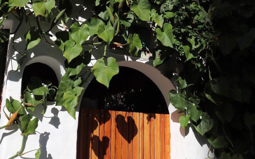 Apartamento Amueblado / Piscina / Vistas / Areas Verdes en San Rafael Escazú