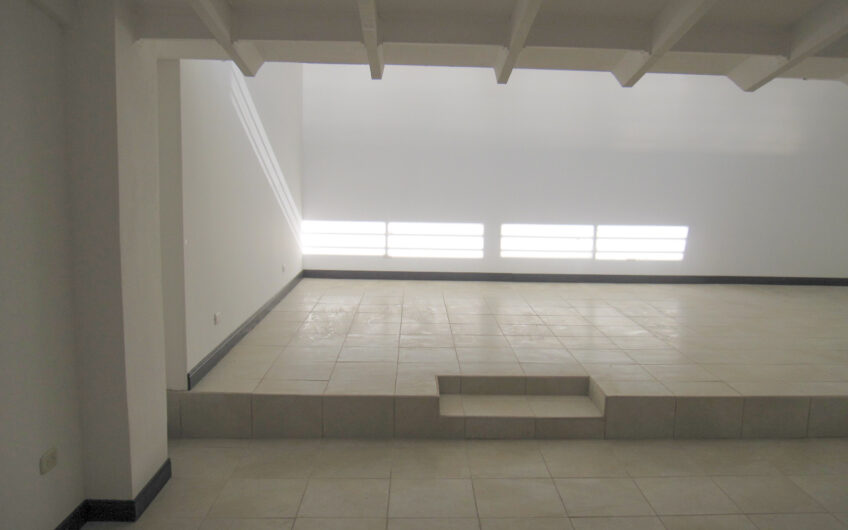 Casa de una planta / uso de suelo mixto / para oficina o comercio en Rohrmoser Pavas