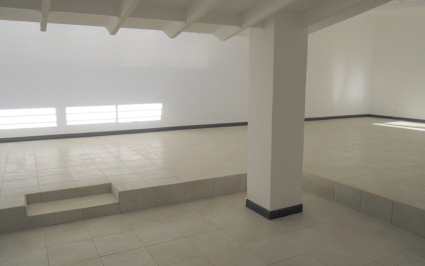 Casa de una planta / uso de suelo mixto / para oficina o comercio en Rohrmoser Pavas