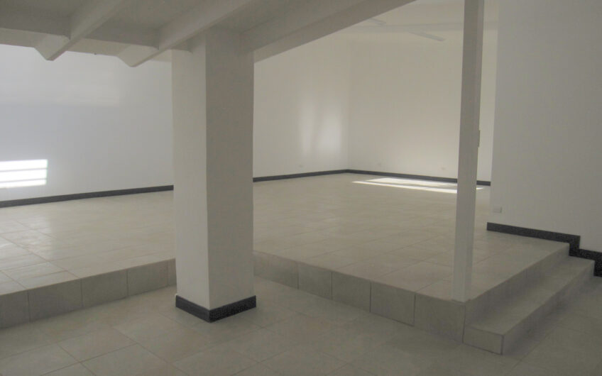 Casa de una planta / uso de suelo mixto / para oficina o comercio en Rohrmoser Pavas