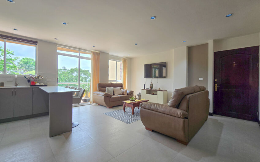 Apartamento de 2 habit. full amueblado con vistas en San Rafael Escazú