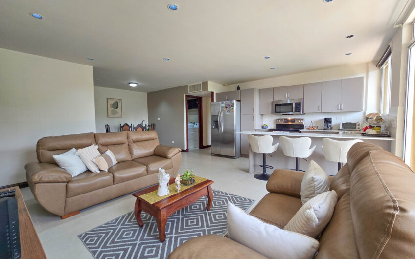 Apartamento de 2 habit. full amueblado con vistas en San Rafael Escazú