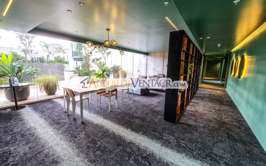 Cosmopolitan Tower Nunciatura! Apartamento amueblado con servicios incluidos
