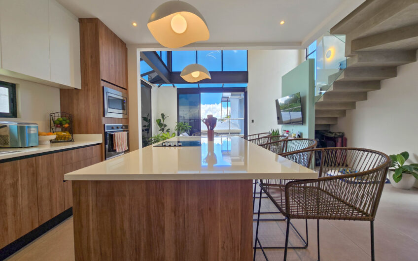 Casa Independiente Contemporánea con Jardín en Bello Horizonte Escazú