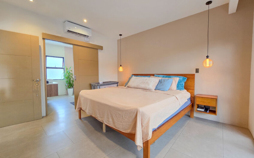 Casa Independiente Contemporánea con Jardín en Bello Horizonte Escazú