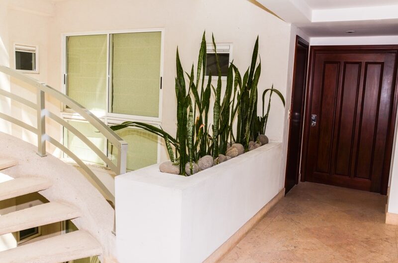 Apartamento de 3 habit.+ de servicio x La Paco San Rafael Escazú